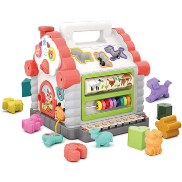 Activity House Shape Sorter Toy
