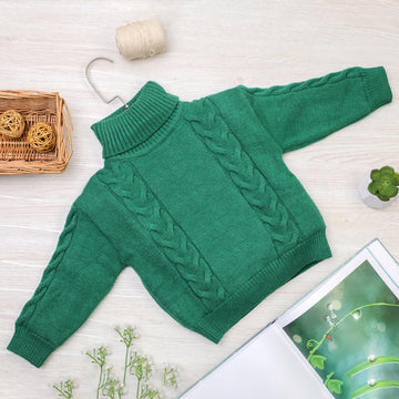 Turtle Neck Sweater