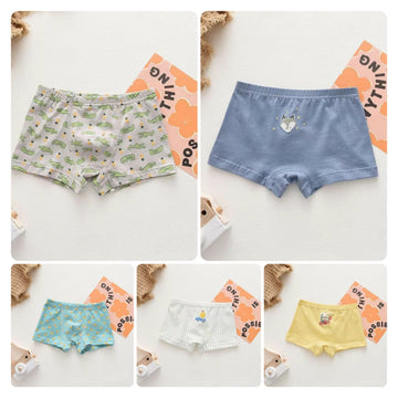 Boys Cotton Underwear (5Pc Pack)