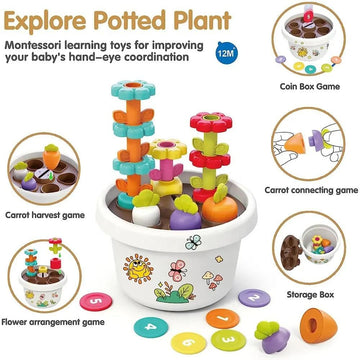 Toy Plant Games Collection for Kids