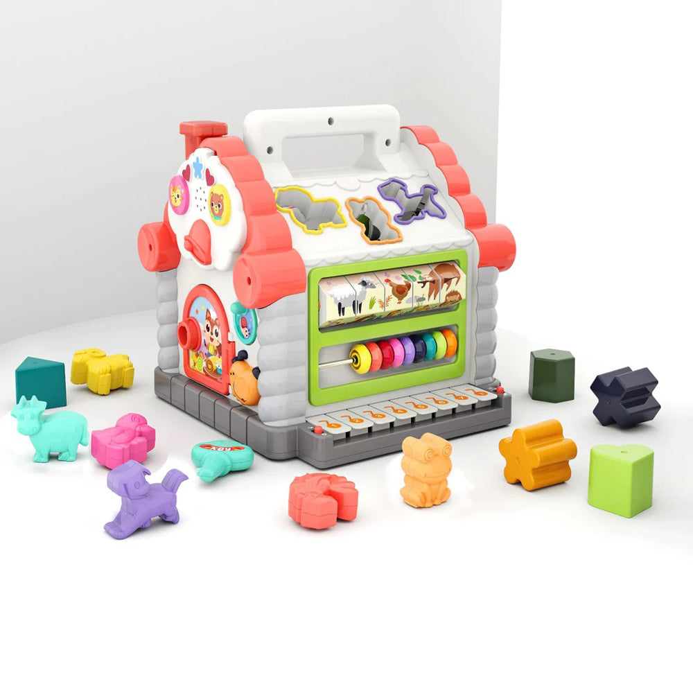 Activity House Shape Sorter Toy