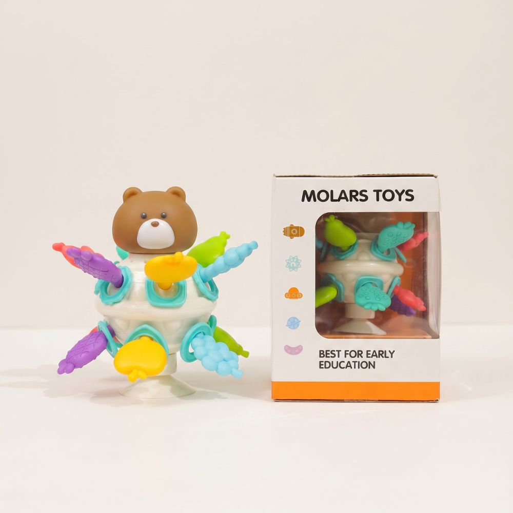 Bear Sensory Activity Toy